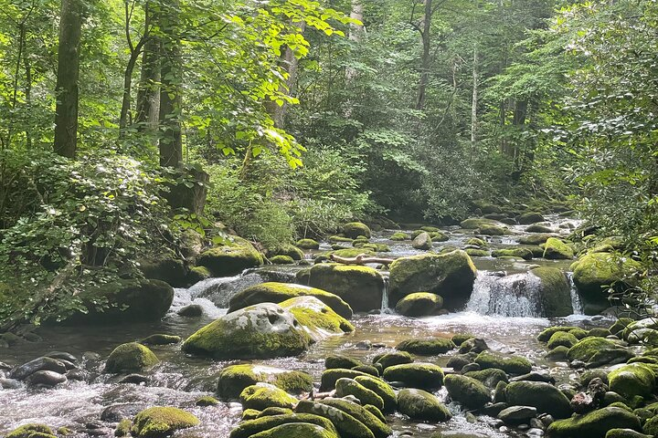 Smoky Mountains Roaring Fork Guided Sightseeing Tour by Jeep - Photo 1 of 6